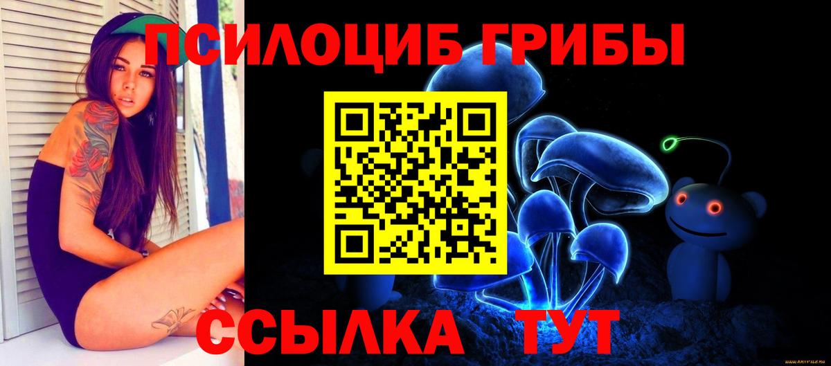 Галлюциногенные грибы Cubensis Москва